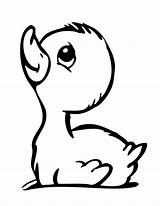 Duckling coloring pages  ColoringLib sketch template