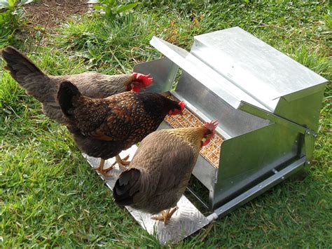 Grandpa's Feeders Automatic Chicken Feeder - Long Lasting Galvanized Steel Poultry Feeders - Rat ...