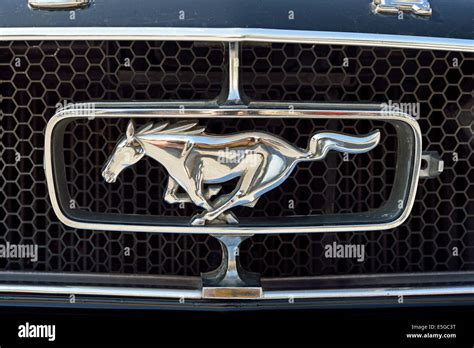 Classic Ford Mustang badge Stock Photo - Alamy