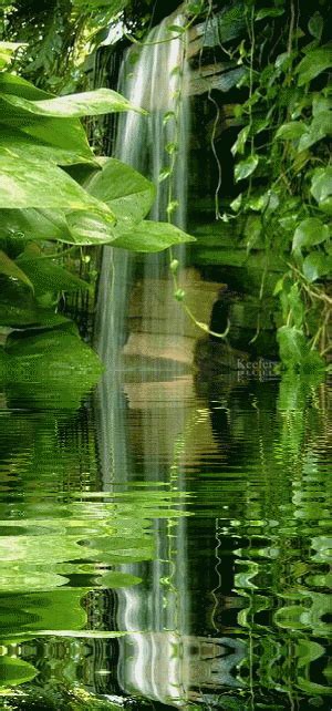 Animated Gif, Reflection, Water Reflections Water Reflection, Animated Gifs, Animated Graphics ...