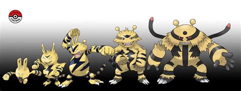 239 - 466 Electabuzz Line by InProgressPokemon on DeviantArt