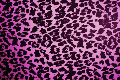 Animal Print Link Leopard Skin Image High Resolution in HD Wallpapers