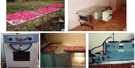 drying methods and performing of drying processes: (a: sun drying; b ...