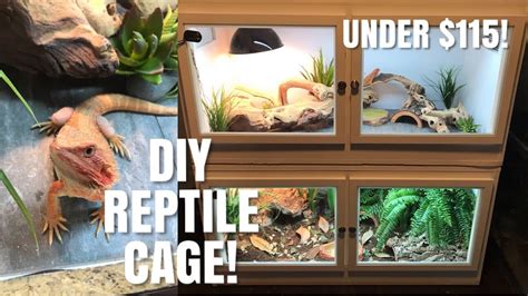 How To Build Your Own Reptile Enclosure! | Perfect for Bearded Dragons, Skinks + More - YouTube