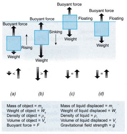 Archimedes Principle Floating Object - Emma Alsop