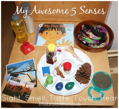 Fun 5 Senses Activities For Preschool - Little Bins for Little Hands