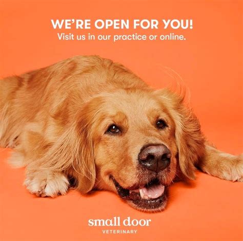 Small Door Veterinary - Wulf Casting