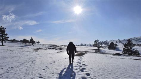 Uncovering the great Himalayan mystery: the Yeti