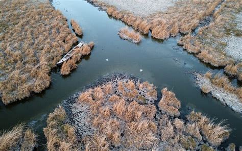 The Four Rivers Garden Of Eden | Fasci Garden