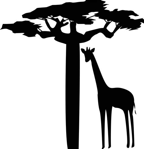 Baobab Tree Silhouette at GetDrawings | Free download