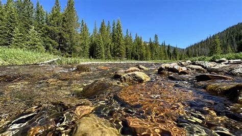 Colorado Hiking Tour Based in Grand Lake - Wildland Trekking