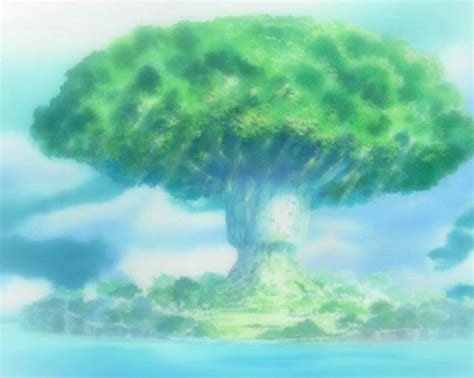 Arbre de la Cognition | One Piece Encyclopédie | FANDOM powered by Wikia