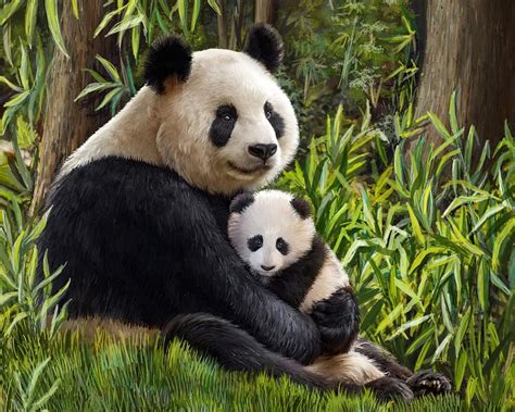 Mom Panda Diamond Painting Kit, code Ag 2691 Granny | Buy online on Mybobbin.com