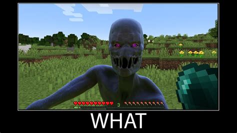 Funny Minecraft Enderman Memes