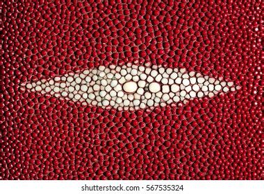 Shagreen Texture Background Stock Photo 567535324 | Shutterstock