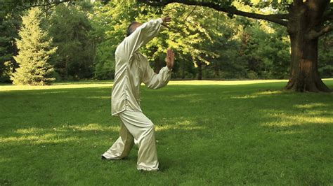 Tai Chi Yang Style - Front views - YouTube