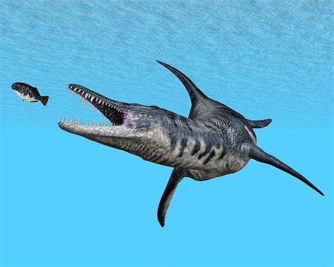 Liopleurodon Vs. Megalodon Vs. Dunkleosteus