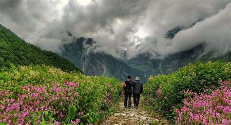 An approach to Valley of Flowers, Uttarakhand in 2021 - Bodhi Bihar Tourism