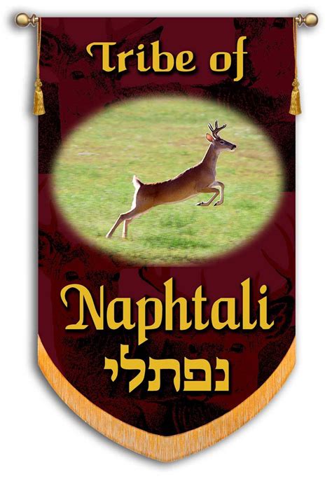 Tribe of Naphtali/Simeon - New Genesis Church Site!