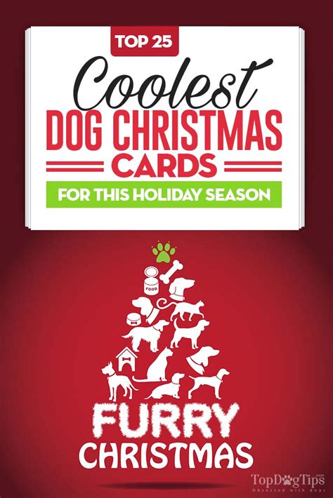 25 Unique Dog Christmas Cards for Animal Lovers (Updated 2023!)