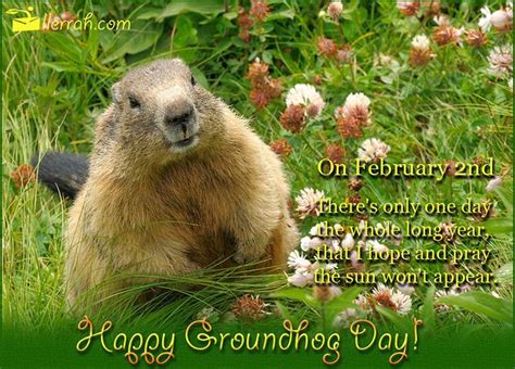 Happy Groundhog Day Motivational Wishes Quotes|Happy Groundhog Day|