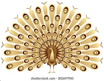 Golden Peacock Raises His Feathers Vector Stock Vector (Royalty Free) 302697950 | Shutterstock