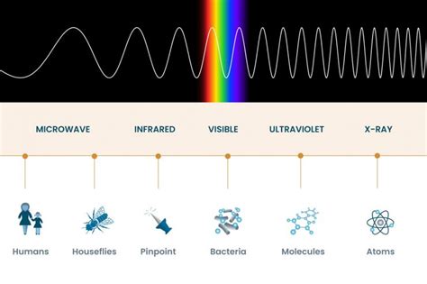 Electromagnetic Spectrum (EF) Definition | Optimus Medica