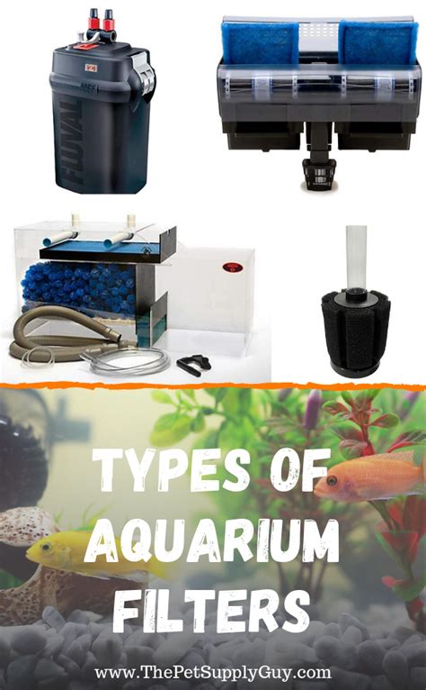 Types of Aquarium Filters - The Pet Supply Guy | Aquarium filter, Aquarium, Filters