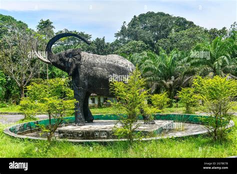 Cross river national Park, Calabar, Nigeria Stock Photo - Alamy