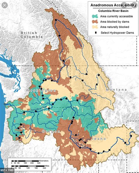 Sadie Slade - Colombia River Basin Map