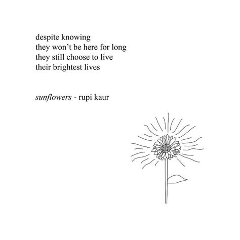 205.7k Likes, 1,313 Comments - rupi kaur (@rupikaur_) on Instagram: “🌻🌻 ...