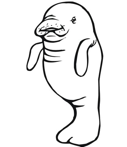 Baby Manatee coloring page | Free Printable Coloring Pages