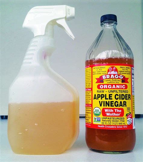 Apple Cider Vinegar for Dogs - Whole Dog Journal