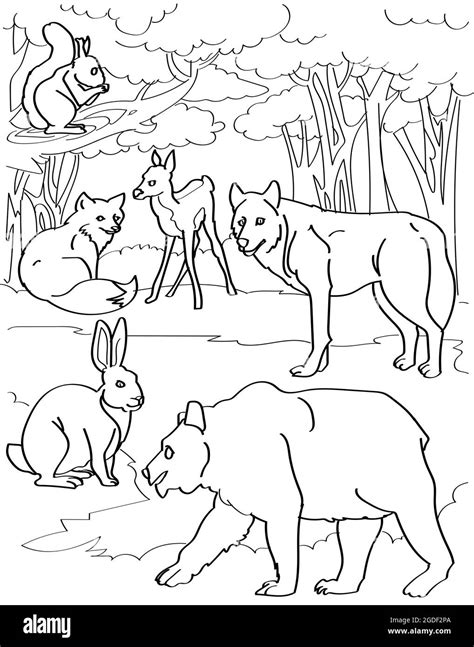 Forest And Animals Drawing - Taha