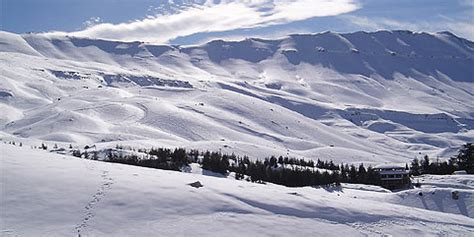 Cedars ski resort overview Lebanon by SKILEB.com