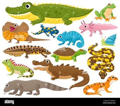 Reptiles Animals