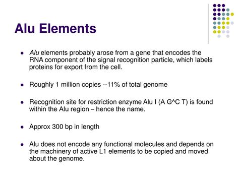 PPT - Alu Elements PowerPoint Presentation, free download - ID:3136033