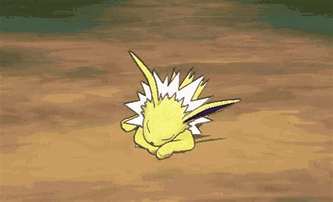 Sleeping Jolteon Pokemon Pictures, Pokemon Eevee, Pokemon Teams ...