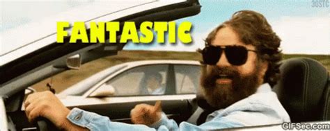 Thumbs Up GIF - Zackgalifianakis Thumbsup Fantastic - Discover & Share GIFs