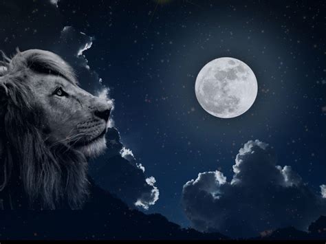 Intuitive Astrology: Leo Full Moon January 2021 - Forever Conscious