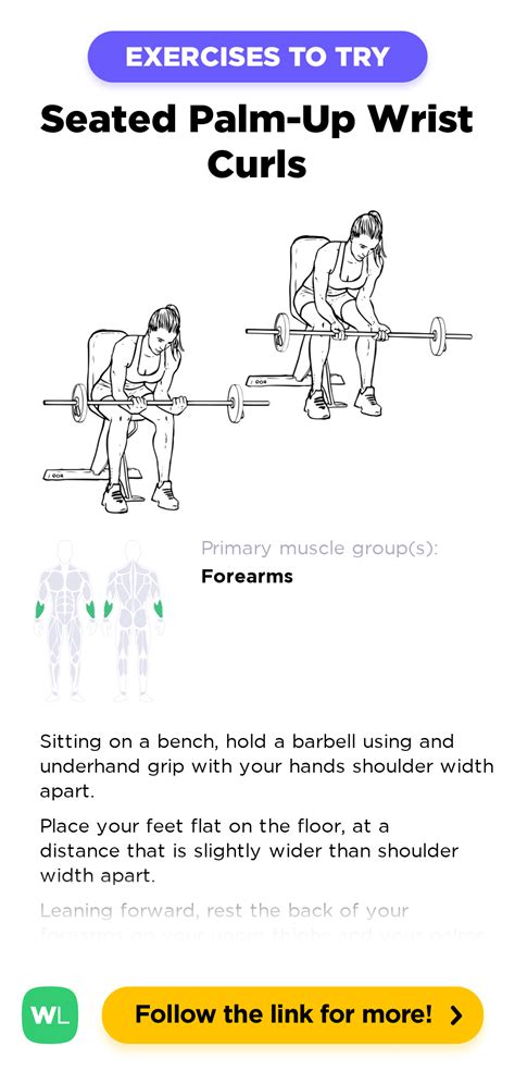 Seated Palm-Up Wrist Curls / Forearm Curls – WorkoutLabs Exercise Guide