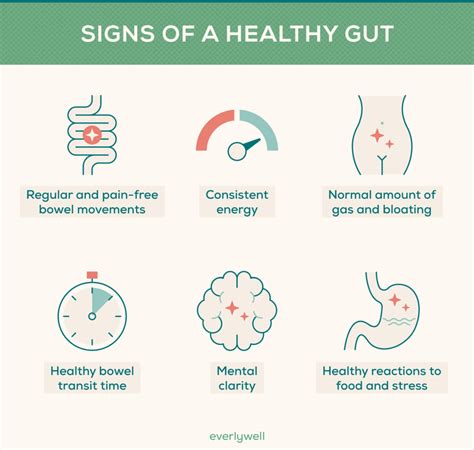 The Importance of Gut Health and Microbiome - Moment of Truth Physical Therapy