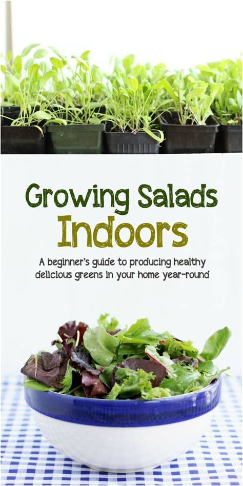 Growing Salads Indoors—Year-Round | Empress of Dirt | Growing food indoors, Indoor vegetables ...