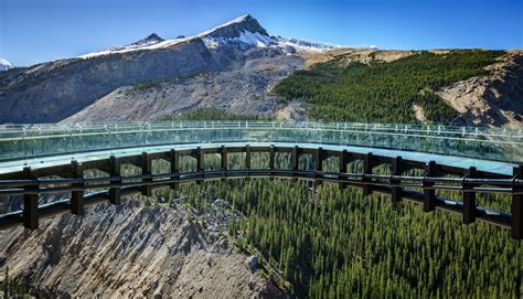 Glacier Skywalk | Excursions | Canada Travel Designers