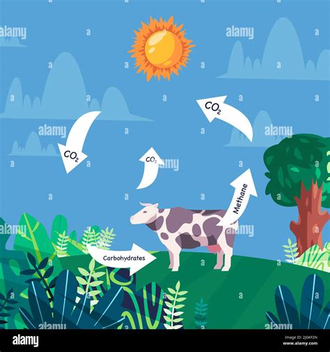 Life cycle of carbon Methane released by cow gasses emission released ...