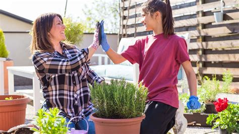 How to Make Your Own Terrace Garden at Home? | A - Z Guide