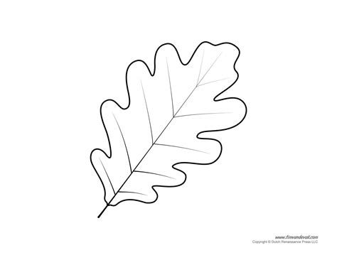 Free Printable Oak Leaf Template