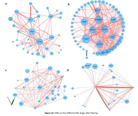 Gene Regulatory Network Analysis – Ancheng's Playground