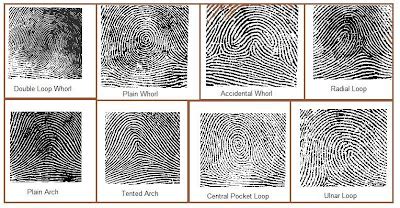 Forensics: Types of Fingerprints