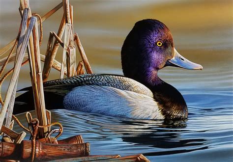 Duck Hunting Paint - Design Talk